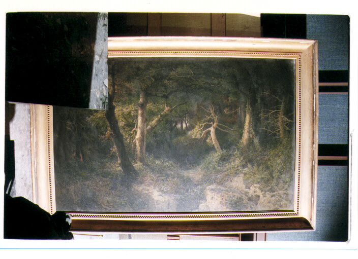 Bosco, paesaggio con alberi (dipinto) di Mancini Francesco (sec. XIX)