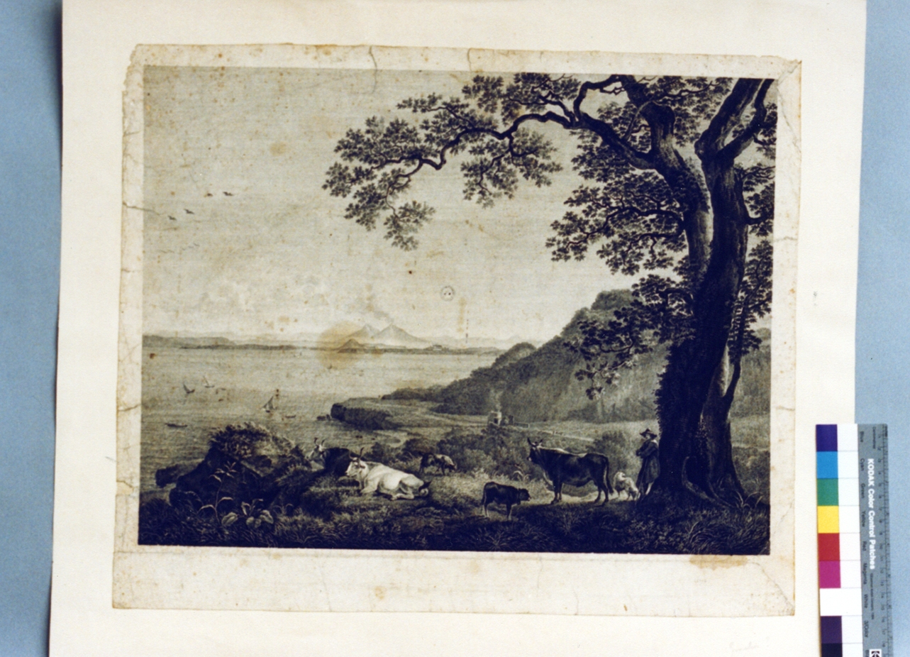 scena campestre (stampa) di Gmelin Wilhelm Friedrich (secc. XVIII/ XIX)