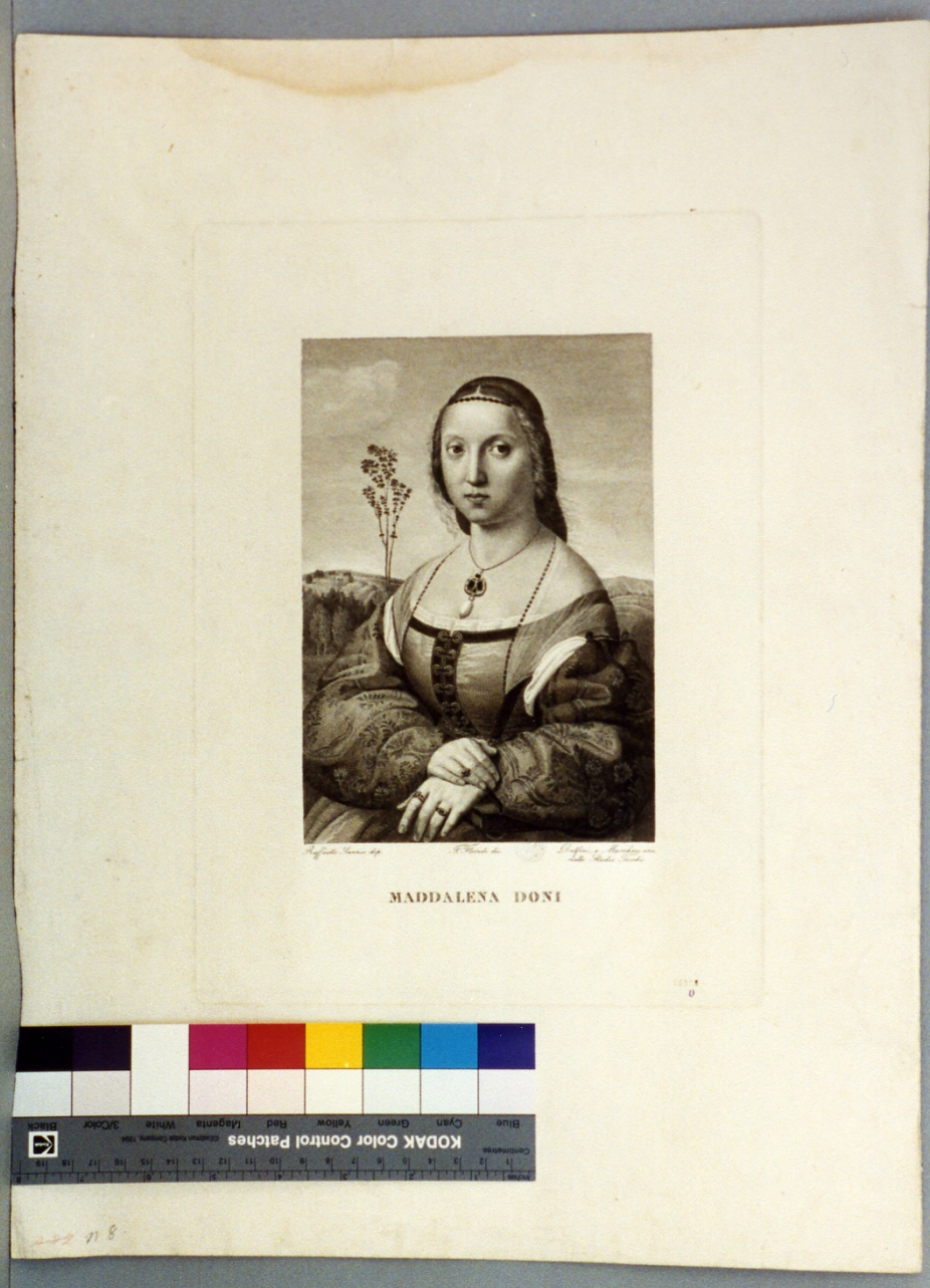 ritratto di donna (stampa) di Floridi Francesco, Delfini Delfino (sec. XIX)