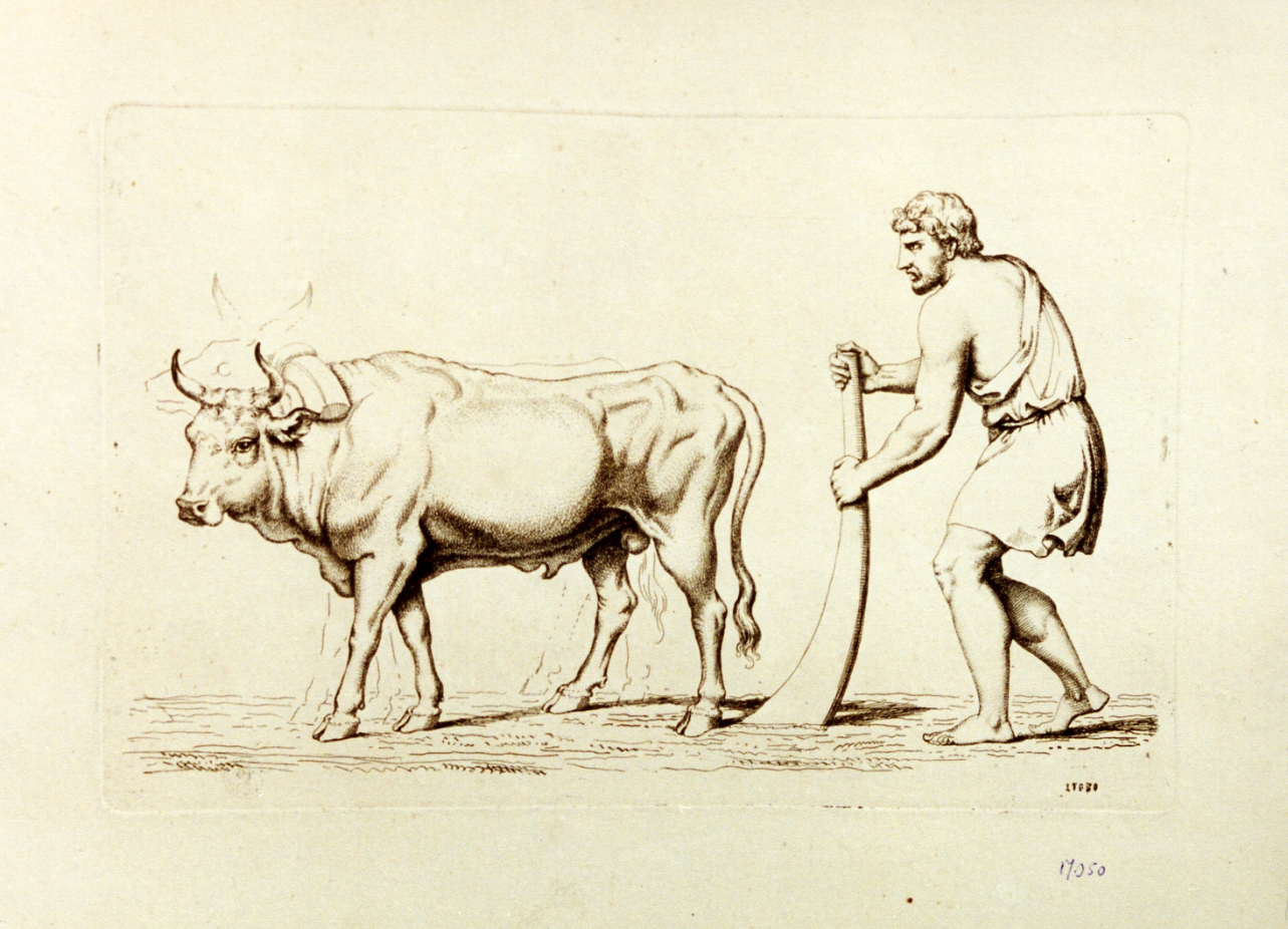 Romolo traccia con l'aratro i confini di Roma (stampa) di Pinelli Bartolomeo (secc. XVIII/ XIX)