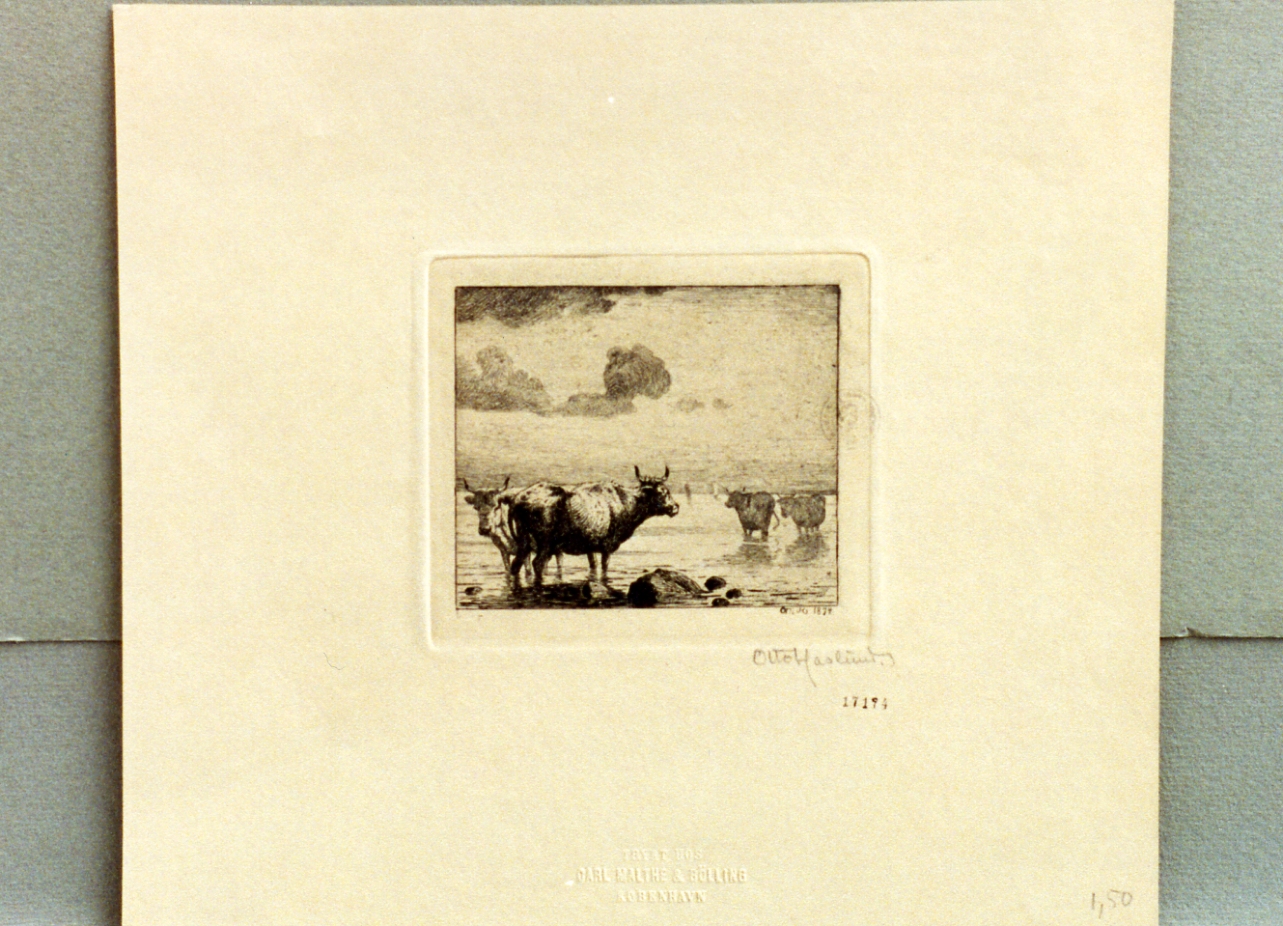 bovini in uno stagno (stampa) - ambito tedesco (sec. XIX)