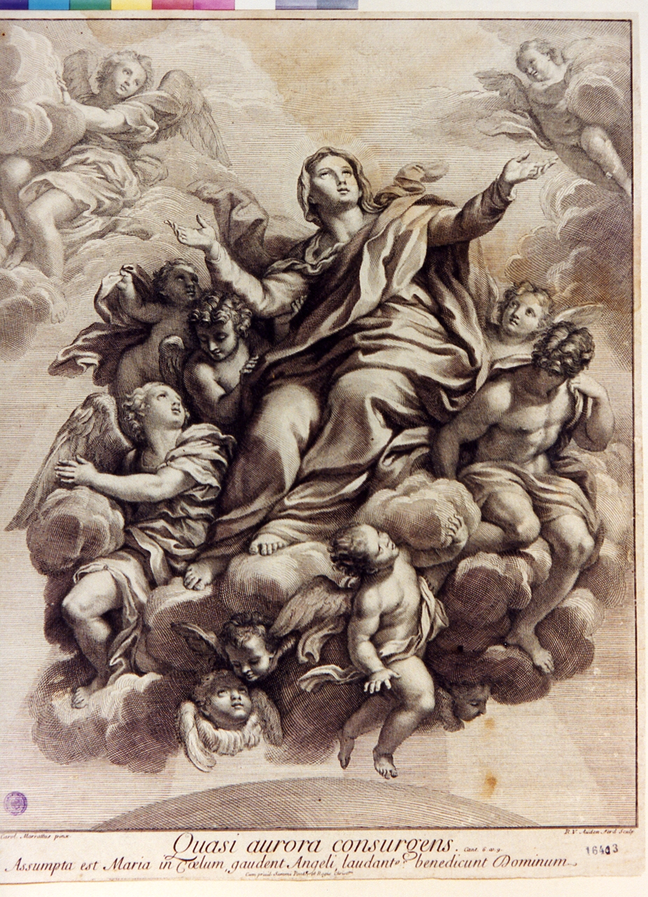 assunzione della Madonna (stampa) di Van Audenaerde Robert, Maratta Carlo (secc. XVII/ XVIII)