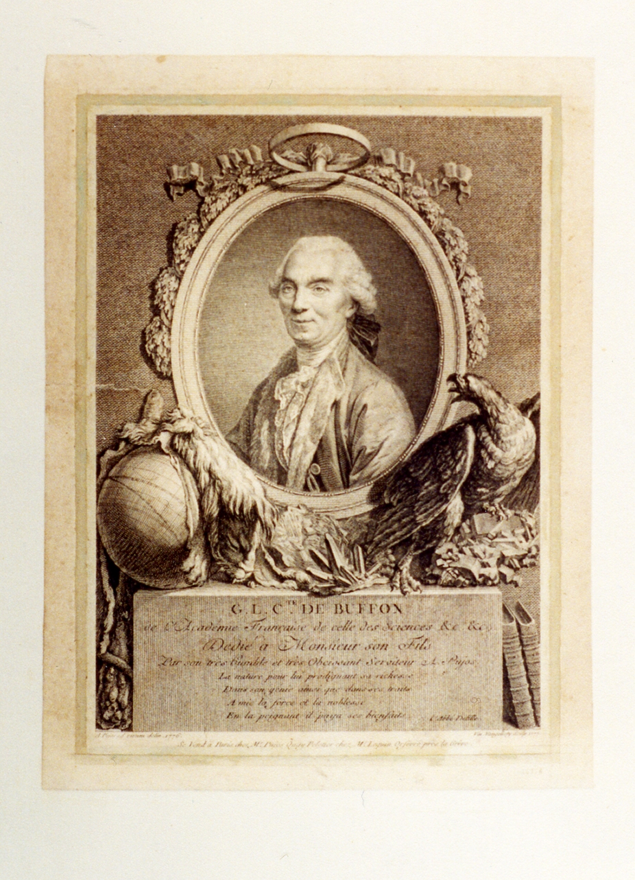 ritratto d'uomo (stampa tagliata) di Pujos Andrè, Vangelisti Vincenzo (sec. XVIII)