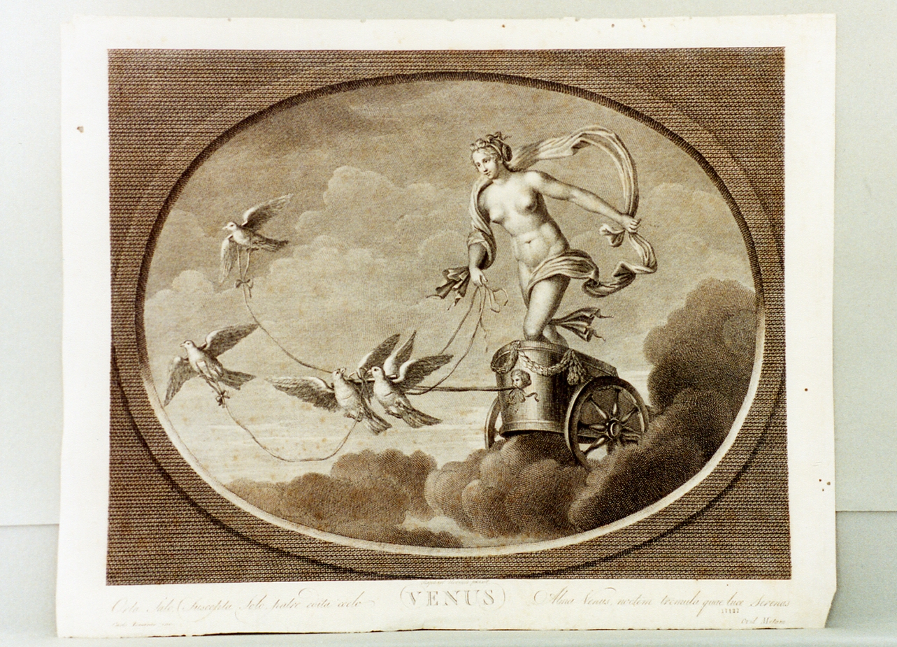 Venere (stampa) di Lasinio Carlo (secc. XVIII/ XIX)