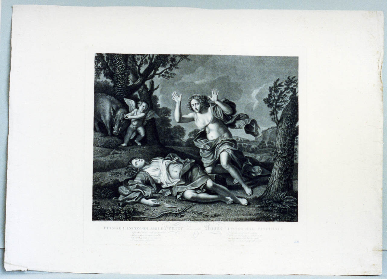 Venere piange la morte di Adone (stampa) di Bonato Pietro, Tofanelli Agostino (sec. XIX)
