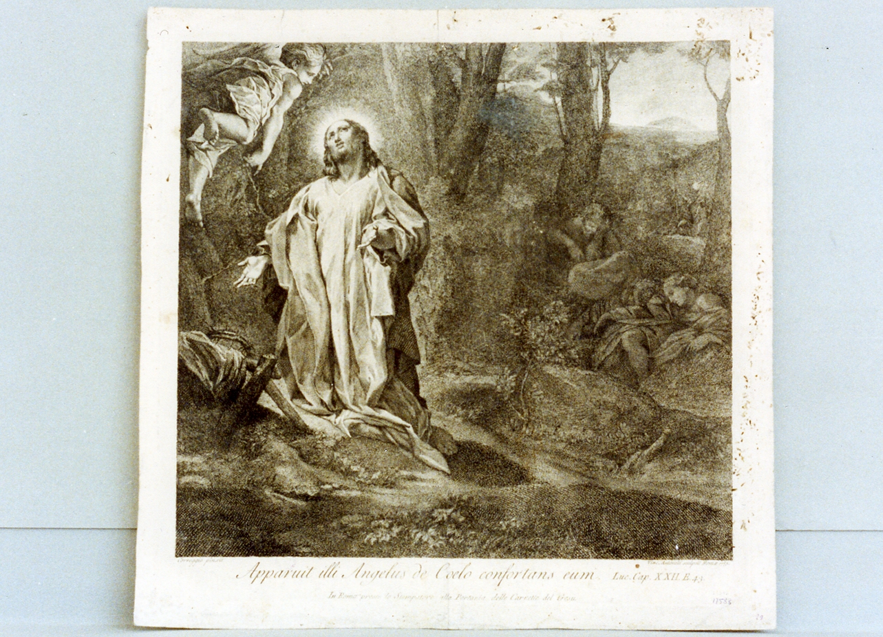 orazione di Cristo nell'orto di Getsemani (stampa tagliata) di Antonelli Vincenzo (sec. XVIII)