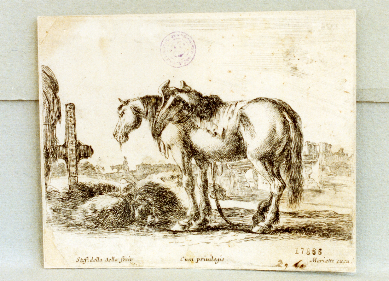 cavallo (stampa) di Della Bella Stefano (sec. XVII)