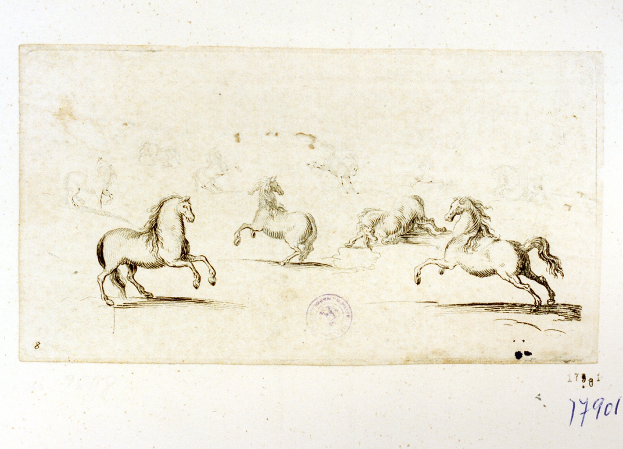 studio di cavalli (stampa tagliata) di Della Bella Stefano (sec. XVII)
