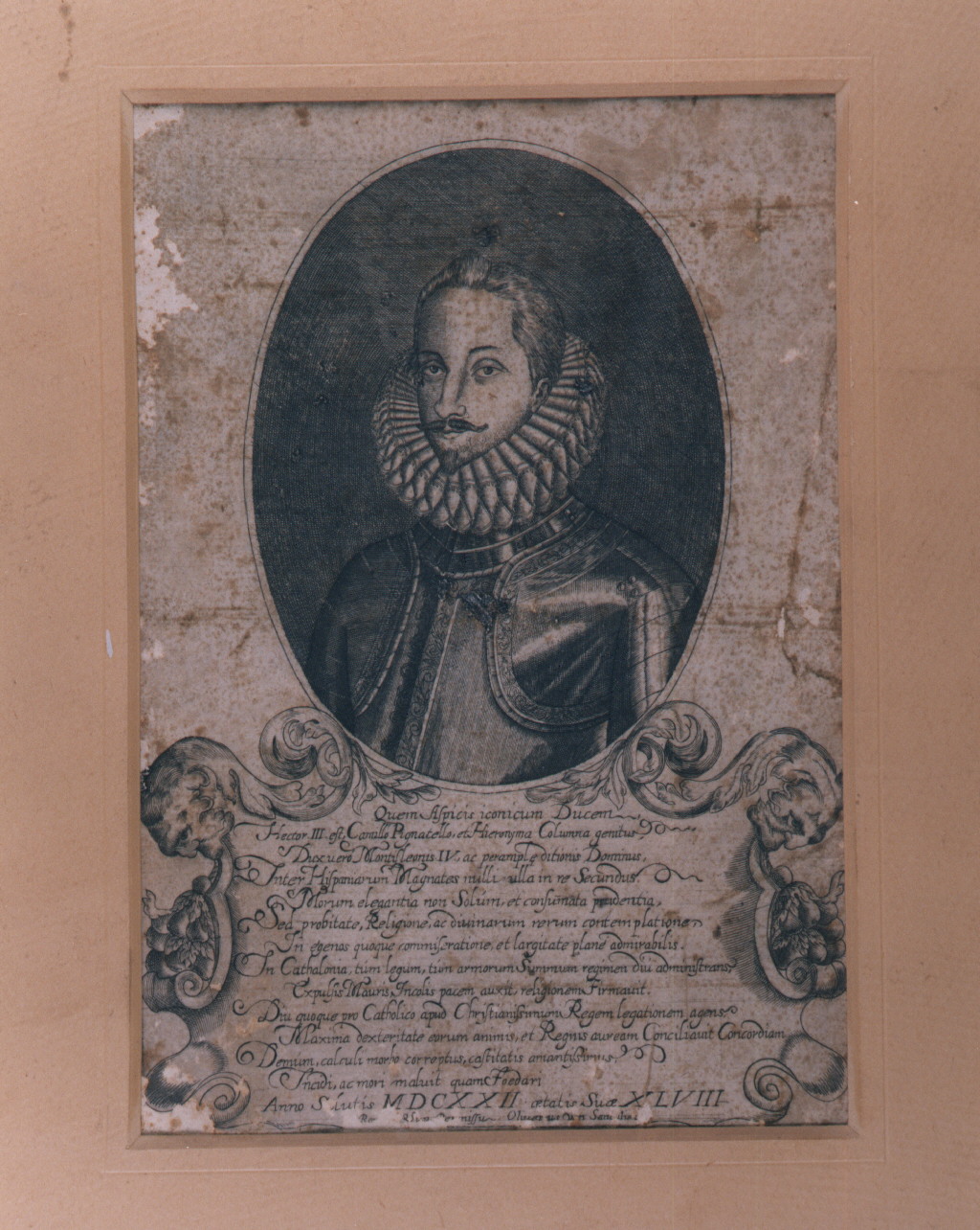 ritratto d'uomo (stampa) - ambito italiano (sec. XVIII)