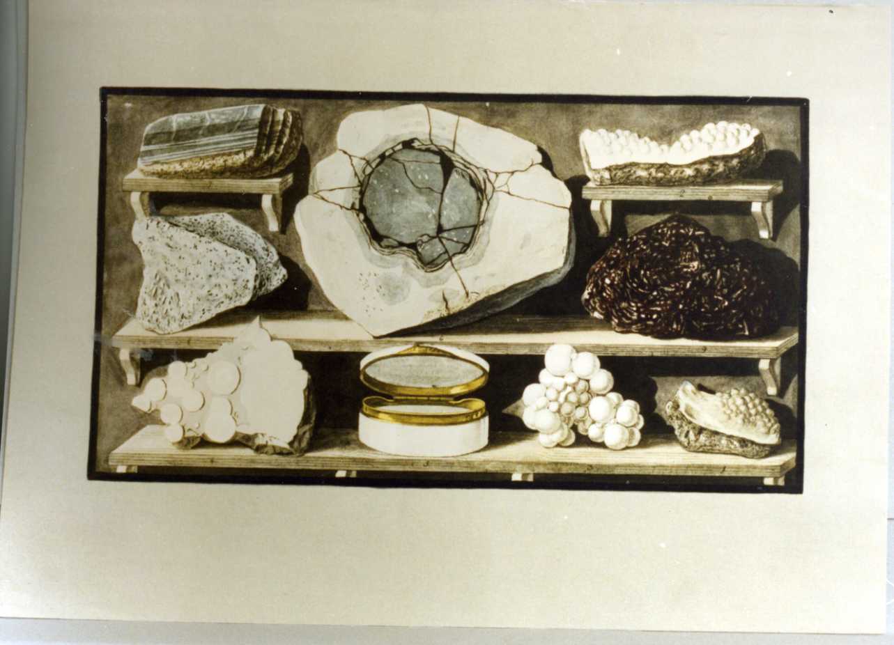 scansia con pietre dure e minerali (stampa a colori) - ambito italiano (sec. XX)