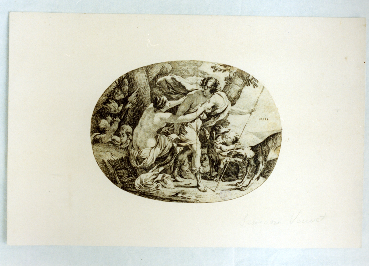 Venere e Adone (stampa) di Vouet Simon (sec. XVII)