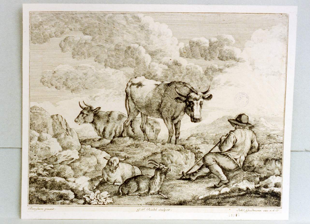 pastore con animali (stampa) - ambito tedesco (sec. XVIII)