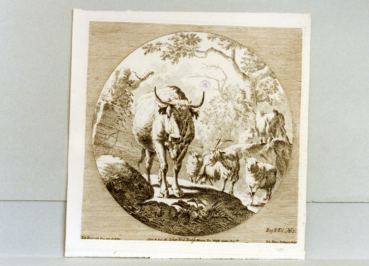 animali (stampa tagliata) di Ridinger Johann Elias (sec. XVIII)