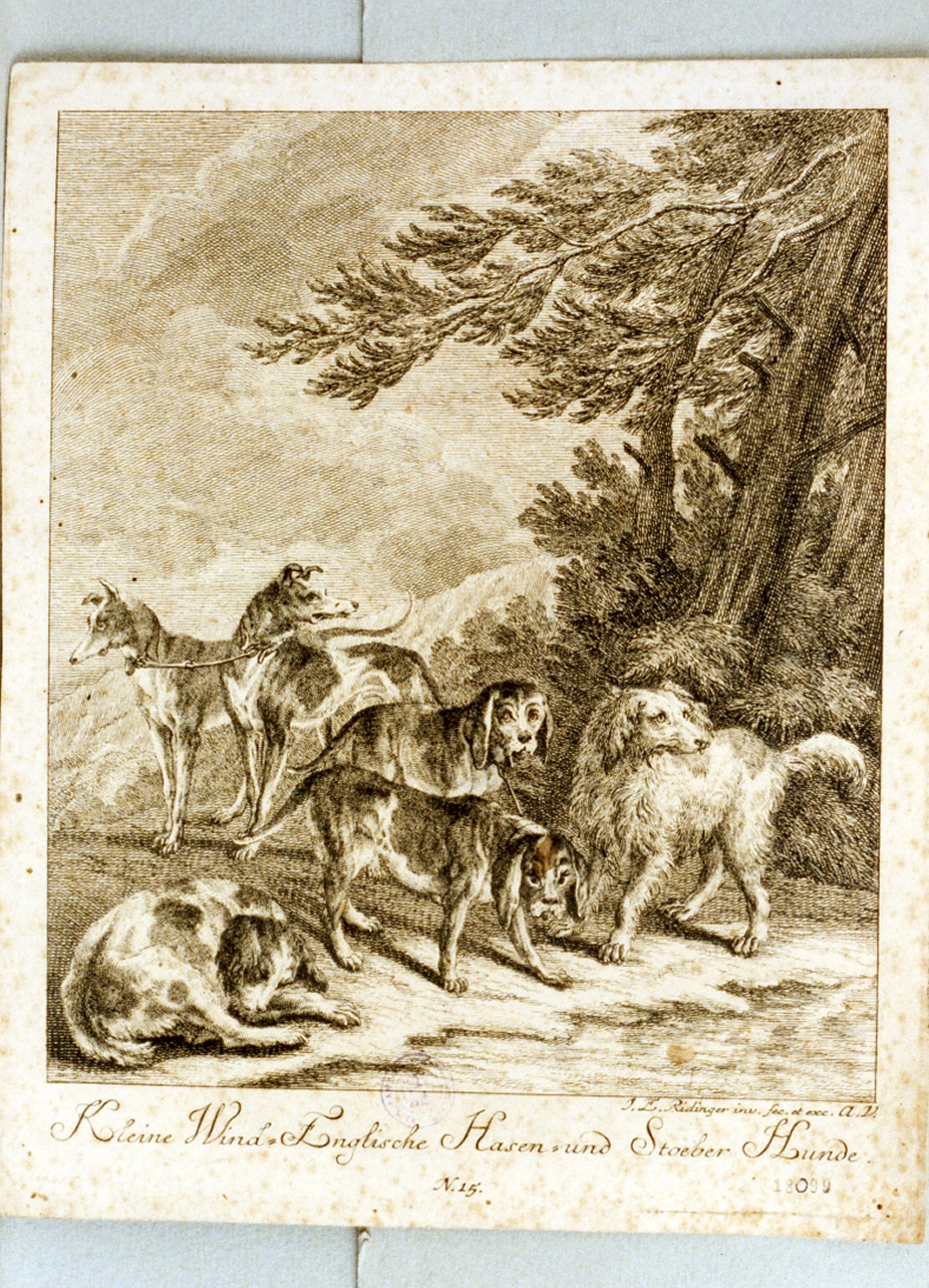 animali (stampa) di Ridinger Johann Elias (sec. XVIII)