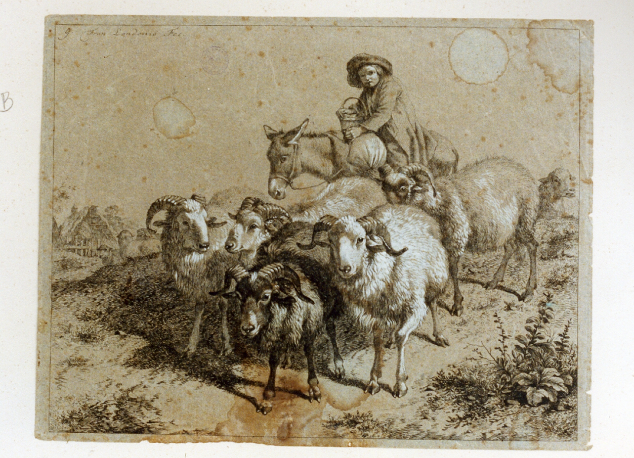 pastore con capre (stampa a colori) di Londonio Francesco (sec. XVIII)