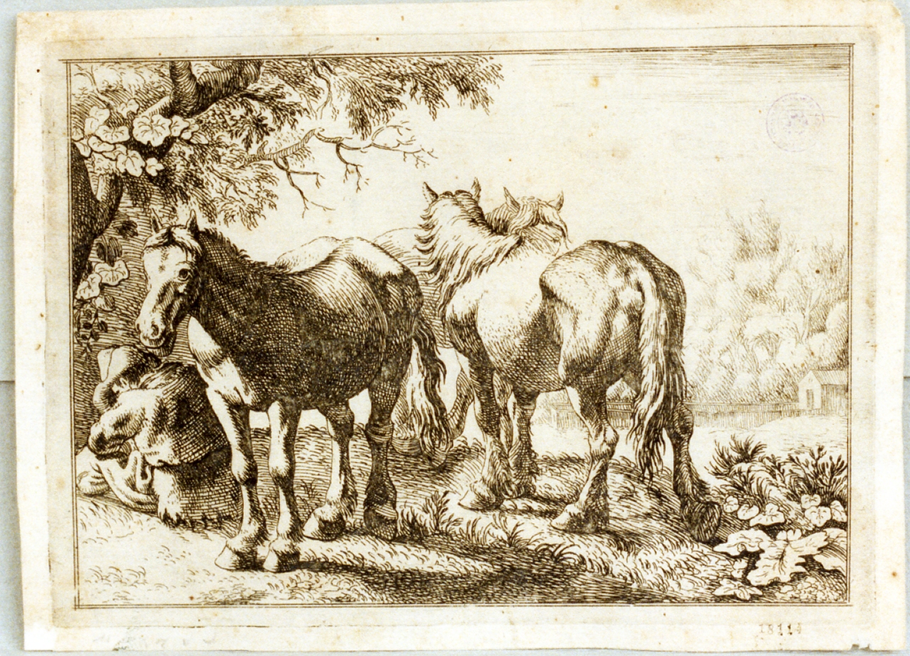 animali (stampa tagliata) di Londonio Francesco (sec. XVIII)