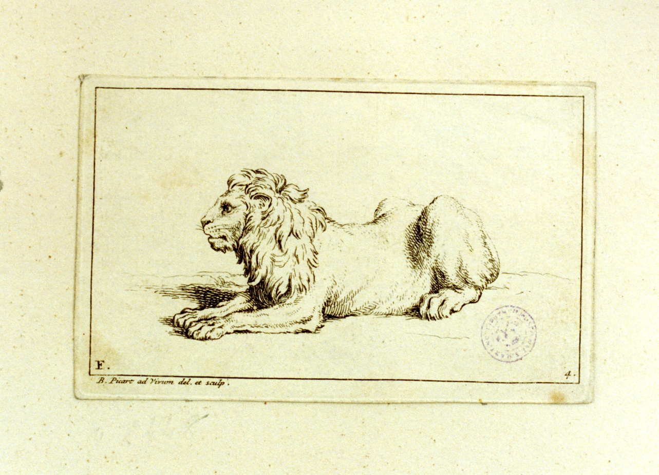 leone (stampa) di Picart Bernard (secc. XVII/ XVIII)
