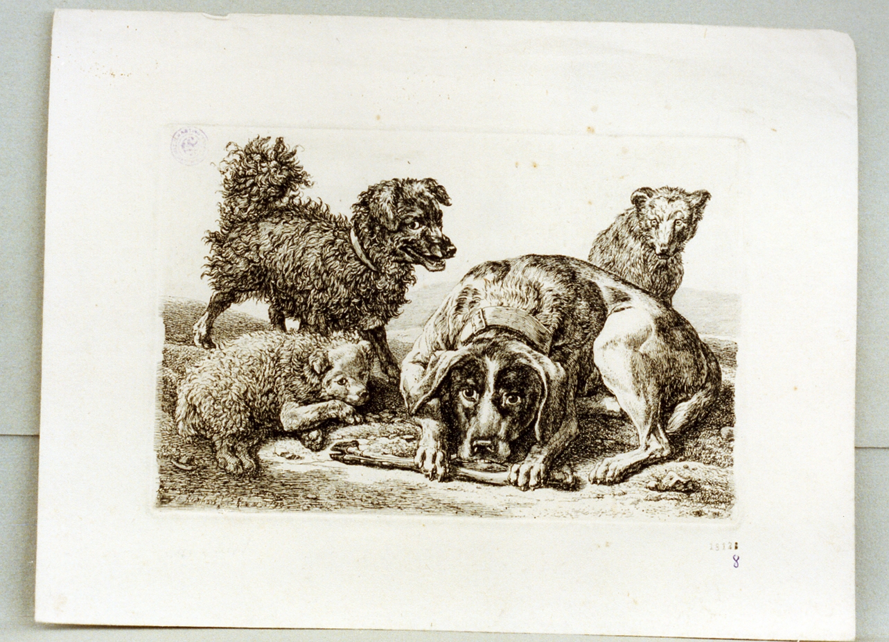 animali (stampa) di Reinhart Johann Christian (sec. XVIII)