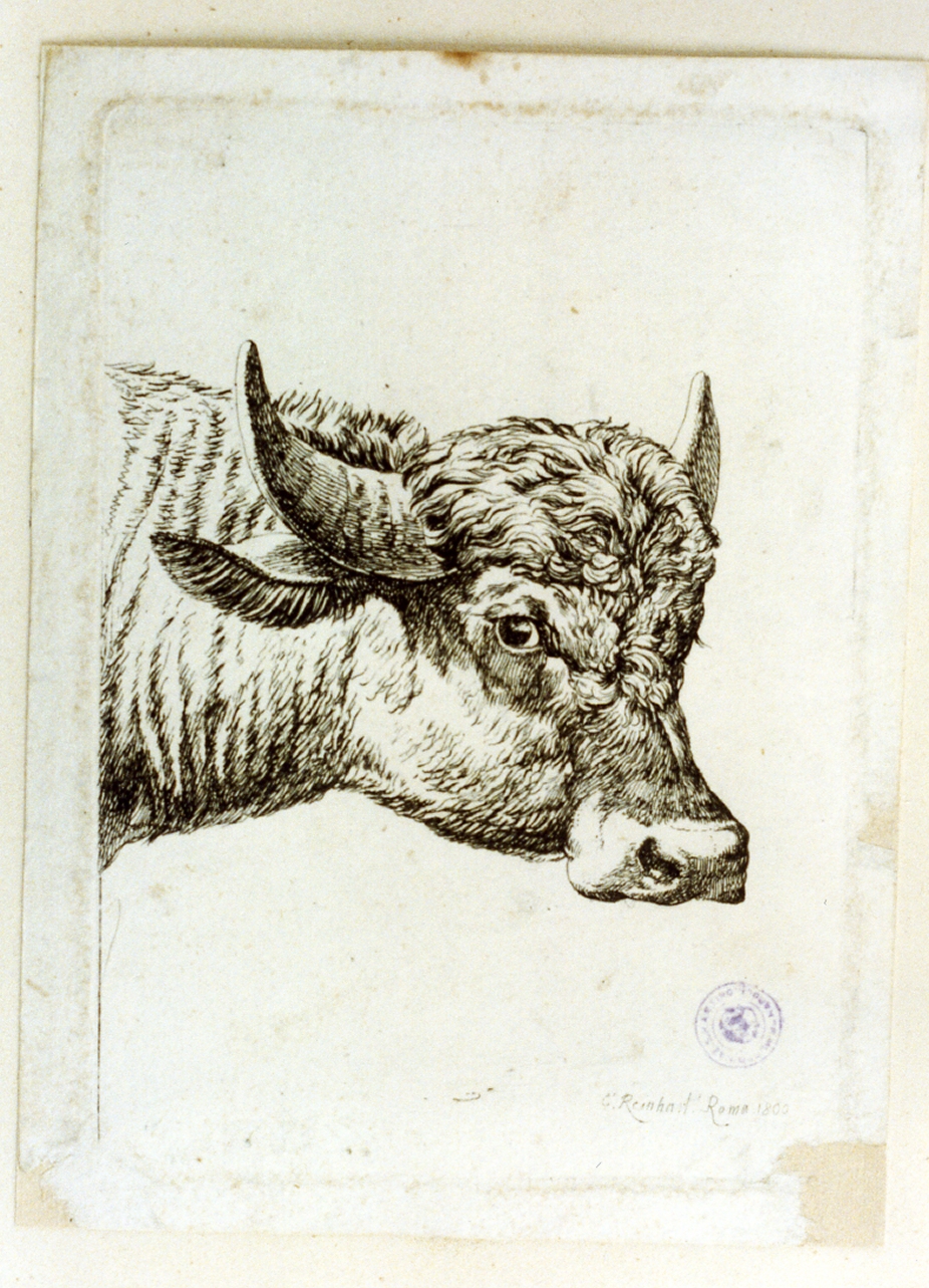 animali (stampa tagliata) di Reinhart Johann Christian (sec. XIX)