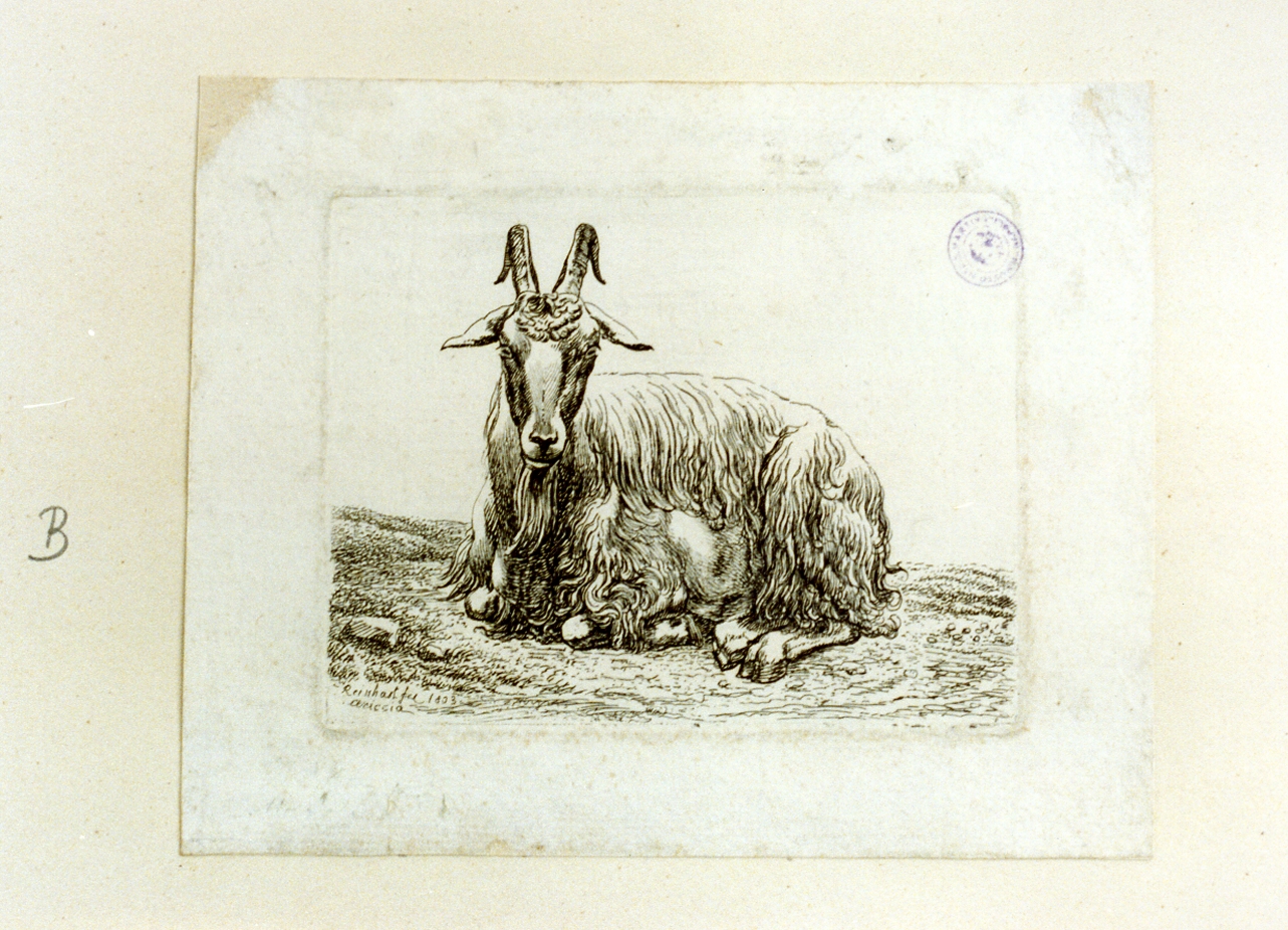 animali (stampa tagliata) di Reinhart Johann Christian (sec. XIX)