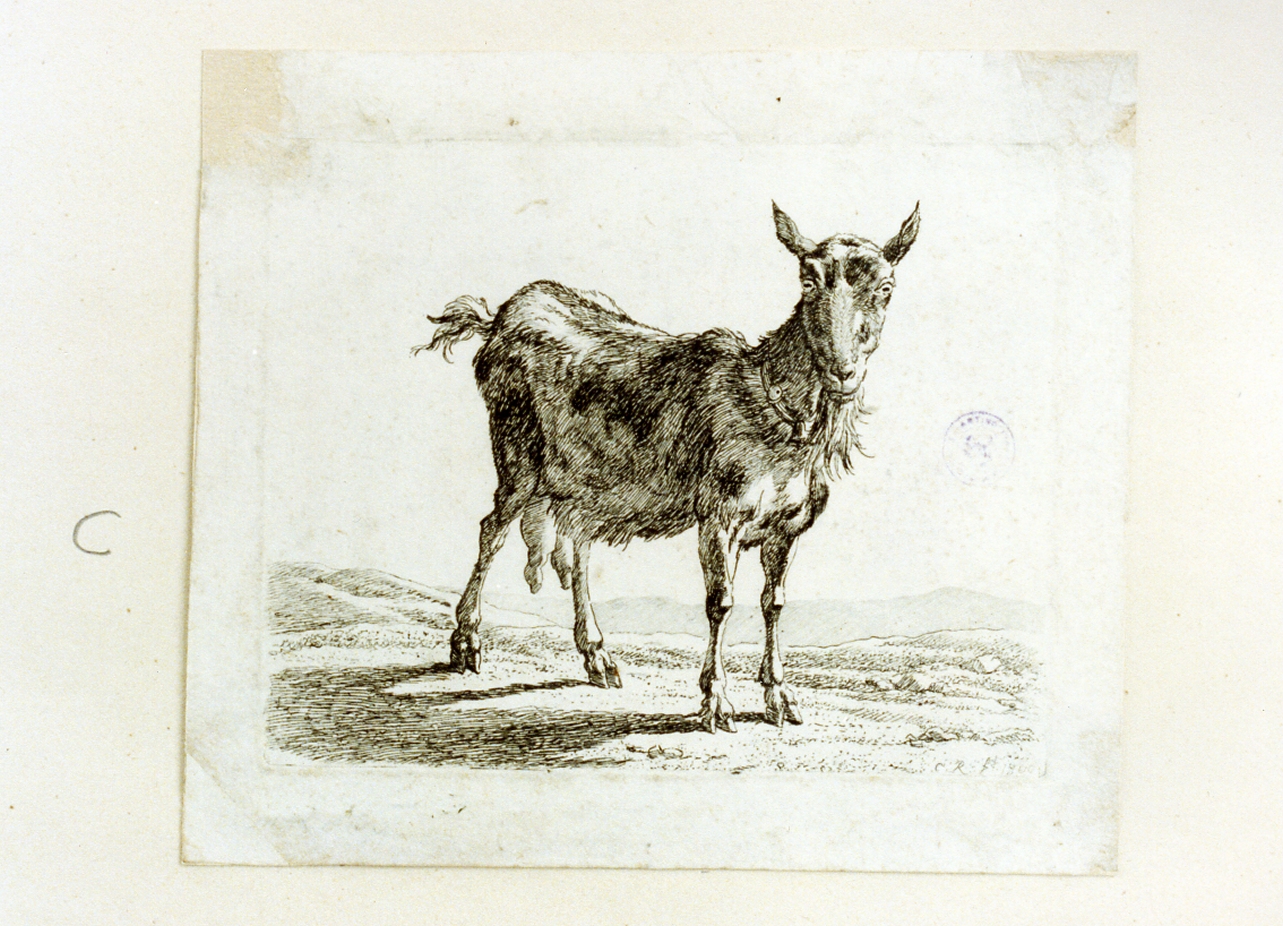 animali (stampa tagliata) di Reinhart Johann Christian (sec. XIX)