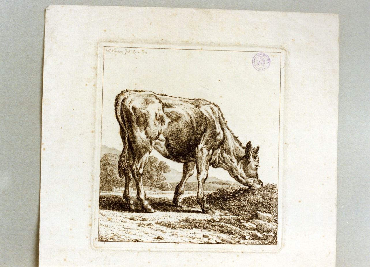 animali (stampa) di Reinhart Johann Christian (sec. XIX)