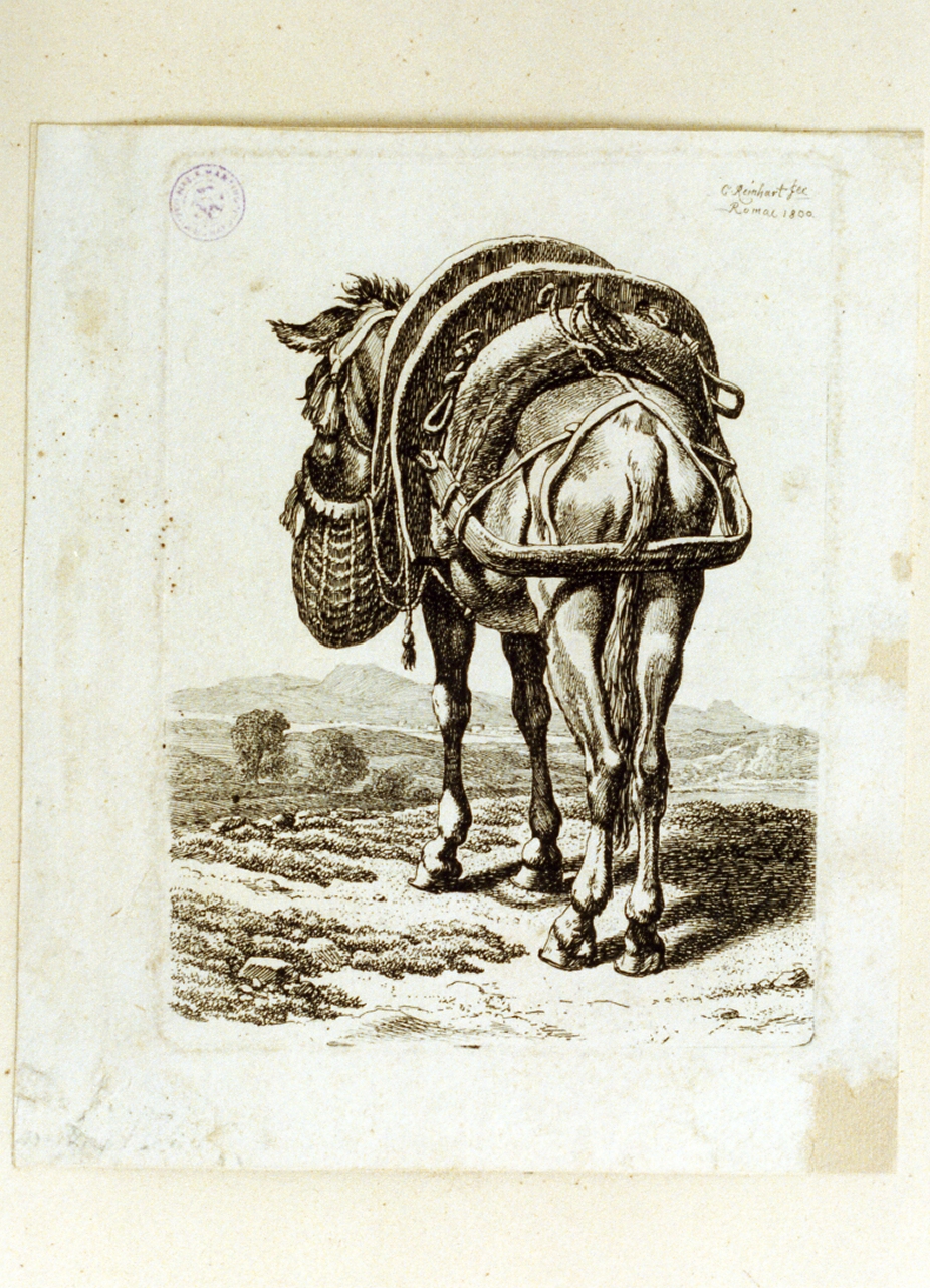 animali (stampa tagliata) di Reinhart Johann Christian (sec. XIX)