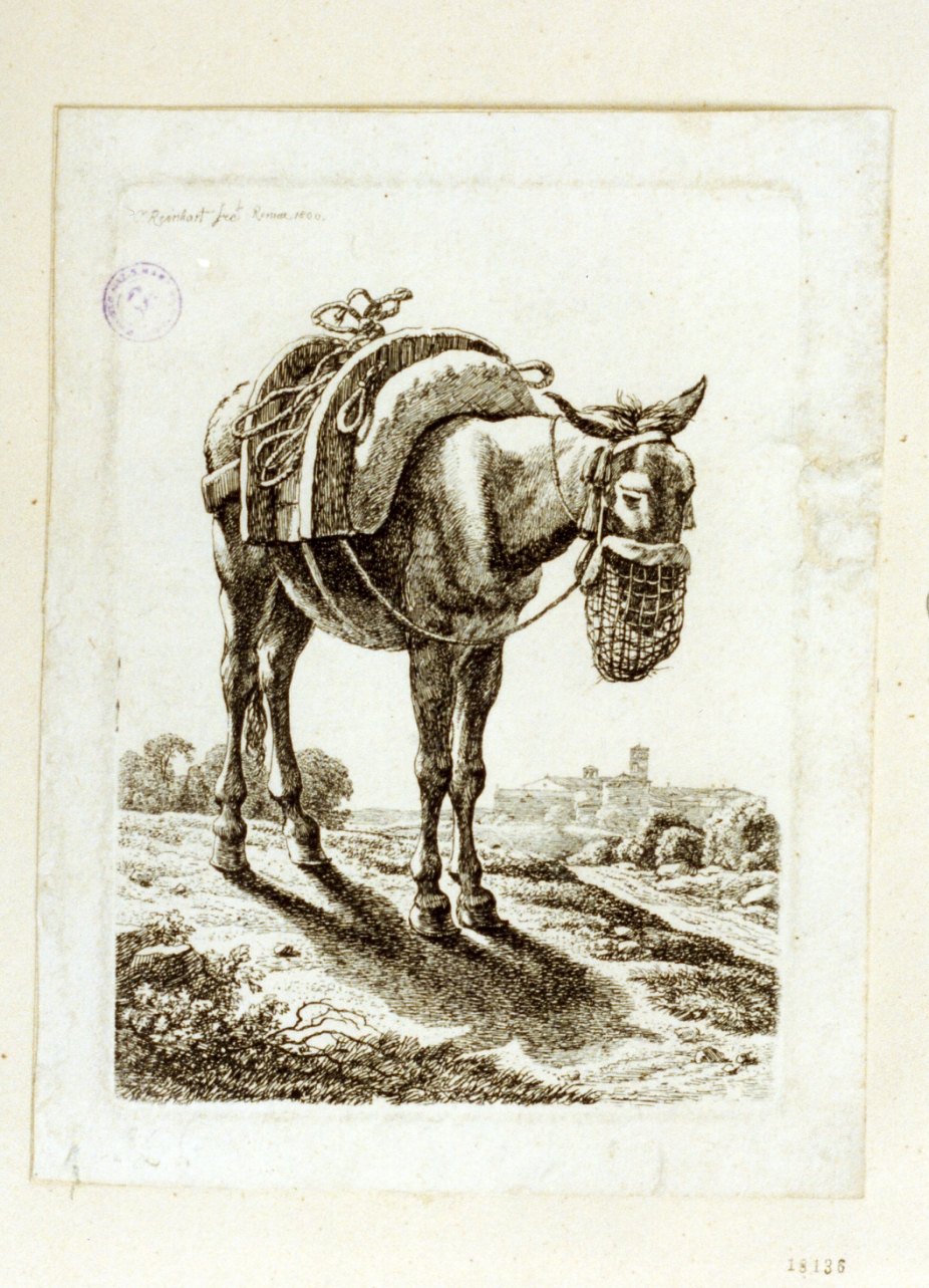 mulo (stampa tagliata) di Reinhart Johann Christian (sec. XIX)