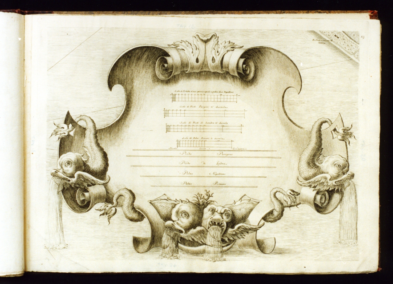 cartiglio con iscrizioni, motivo decorativo fitomorfo e tritoni (stampa) di Aloja Giuseppe, Carafa Giovanni, Campana Pietro, Carletti Nicolò, Lamarra Francesco (sec. XVIII)