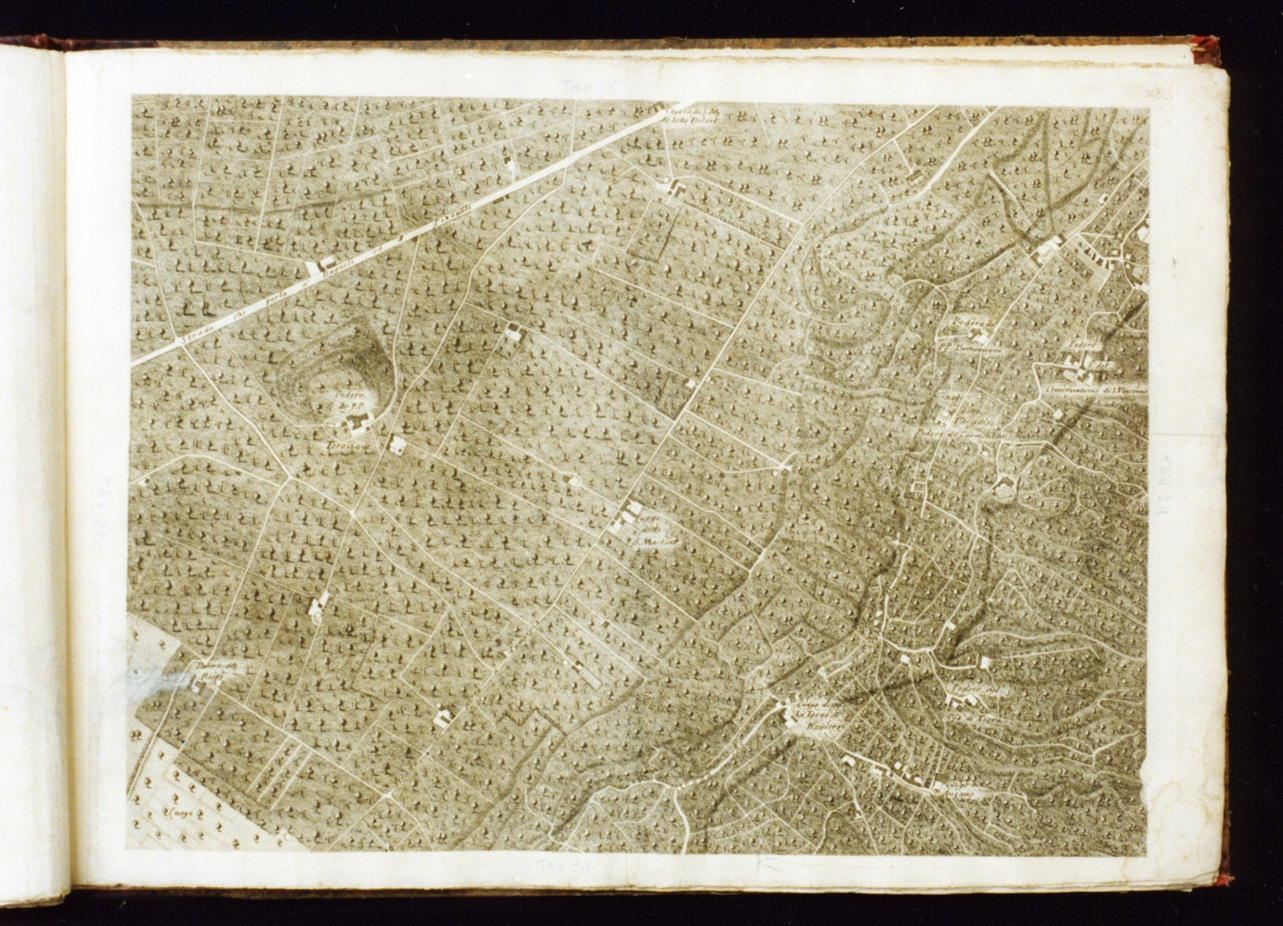 pianta topografica di Napoli con Torre Ranieri (stampa) di Carletti Nicolò, Campana Pietro, Carafa Giovanni, Aloja Giuseppe, Lamarra Francesco (sec. XVIII)