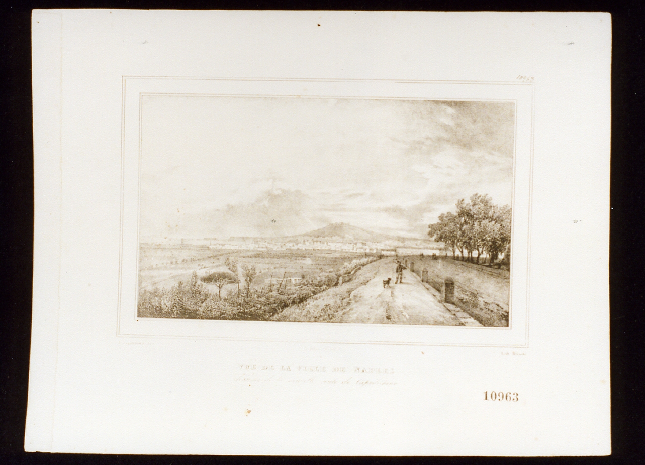 veduta di Napoli dalla nuova strada di Capodichino (stampa) - ambito napoletano (sec. XIX)