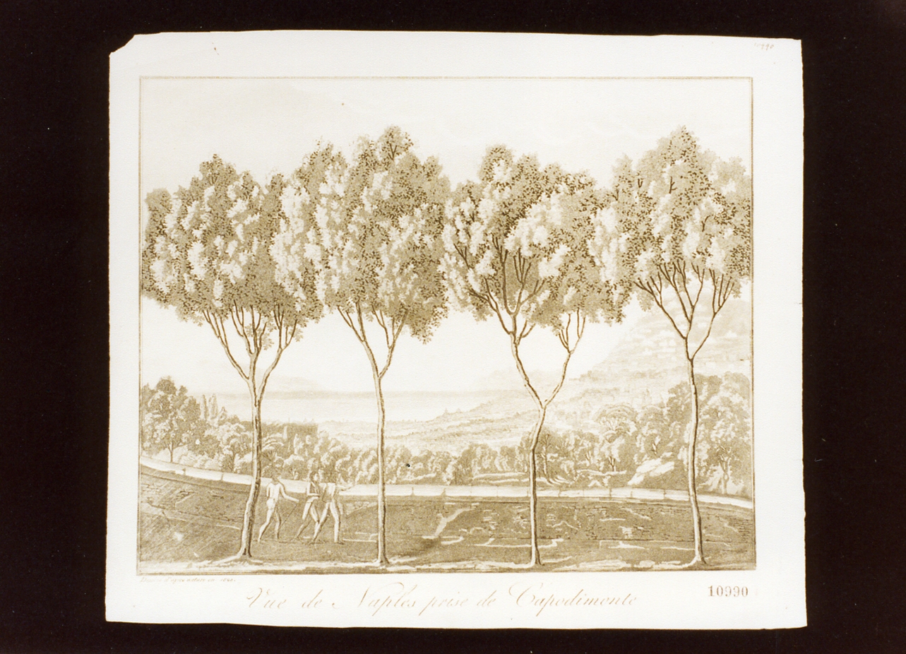 veduta di Napoli da Capodimonte (stampa) - ambito napoletano (sec. XIX)