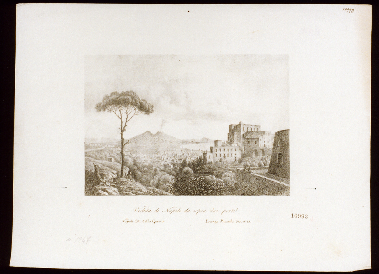 veduta di Napoli (stampa) - ambito napoletano (sec. XIX)