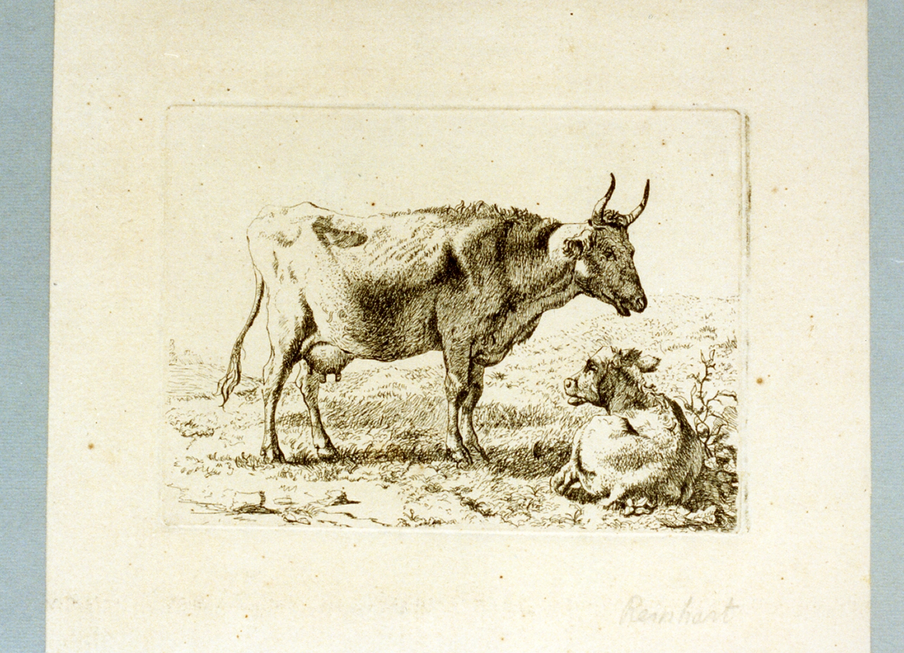 vacche al pascolo (stampa) di Reinhart Johann Christian (sec. XIX)