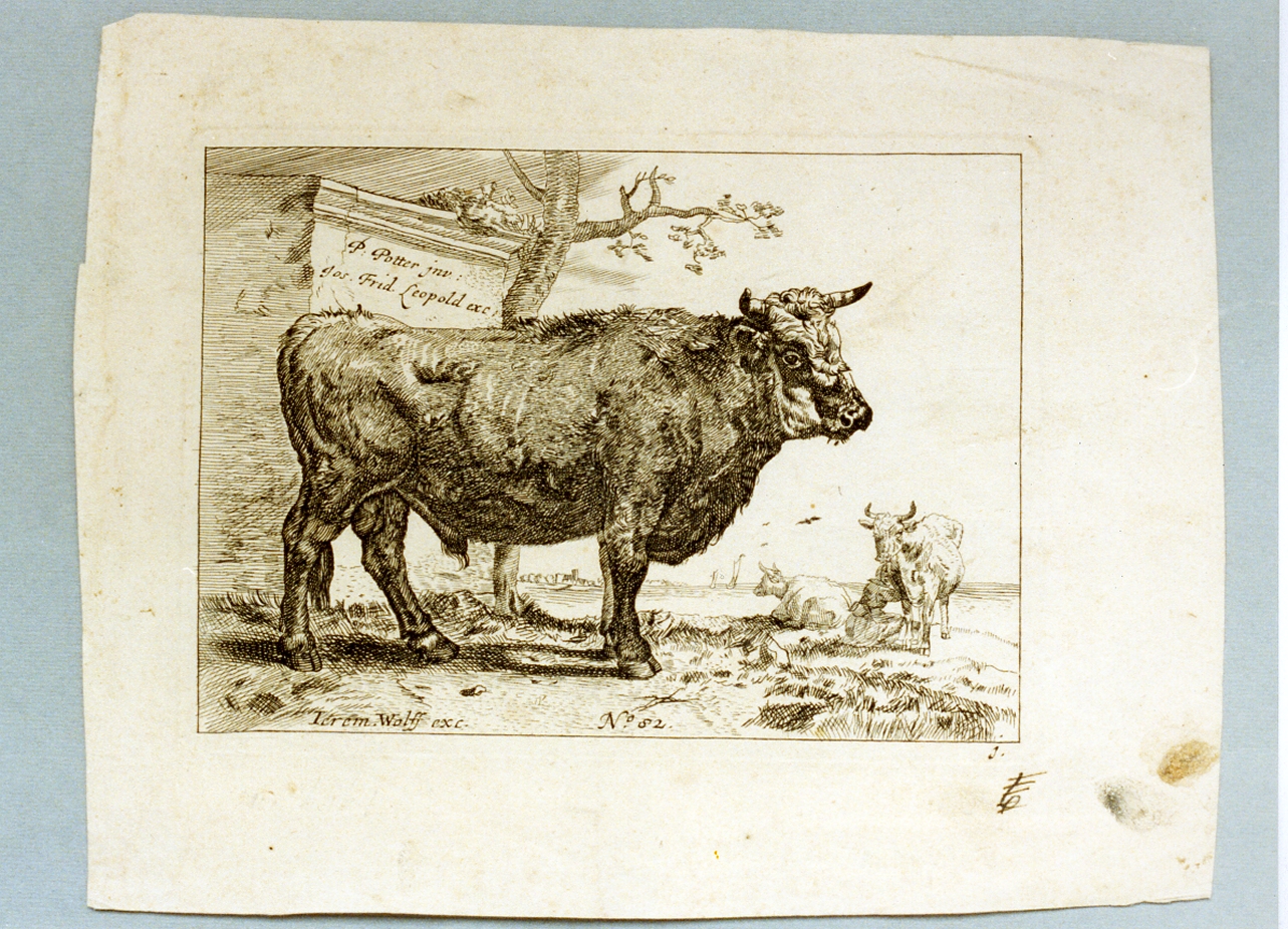 toro (stampa tagliata) di Potter Paulus (secc. XVII/ XVIII)