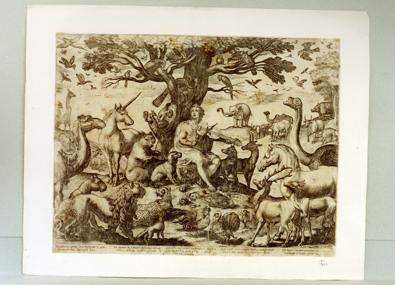 Orfeo incanta gli animali con la musica (stampa) di Tempesta Antonio (secc. XVI/ XVII)