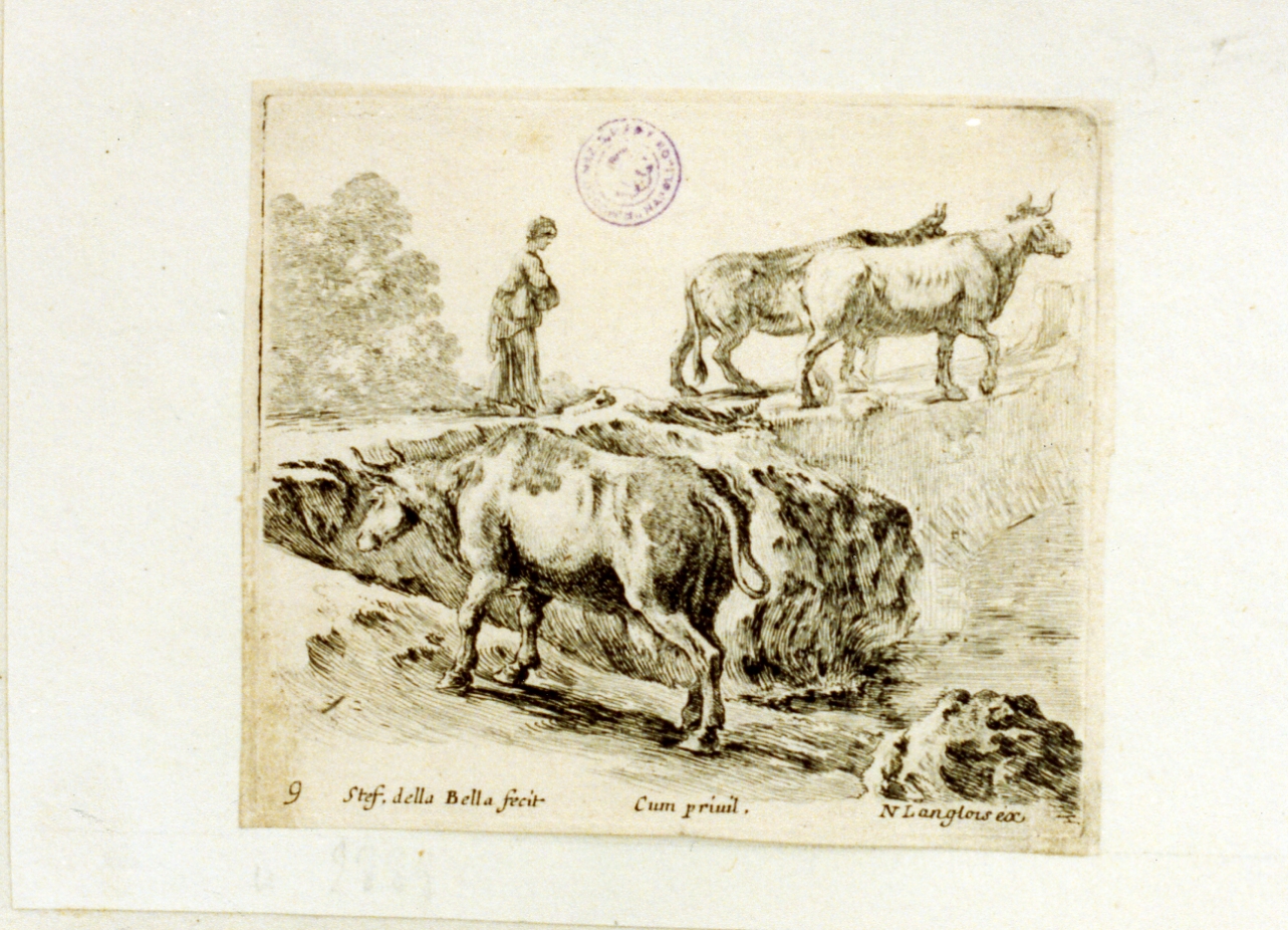 bove (stampa tagliata) di Della Bella Stefano (sec. XVII)