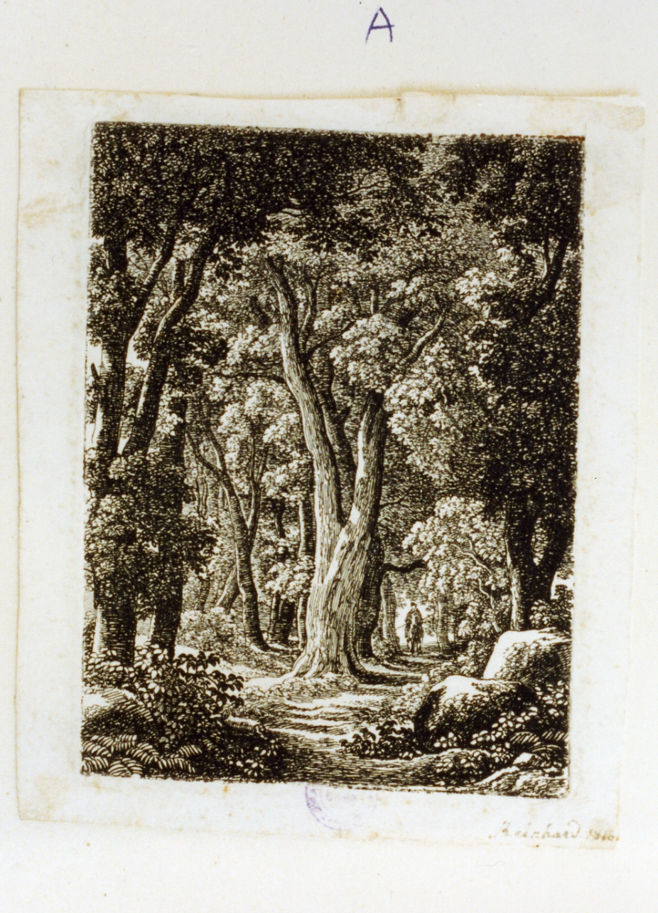 paesaggio (stampa tagliata) di Reinhart Johann Christian (sec. XIX)