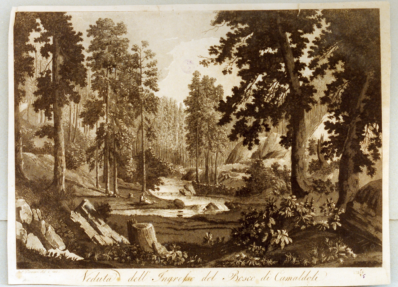 paesaggio (stampa) di Terreni Antonio (seconda metà sec. XVIII)