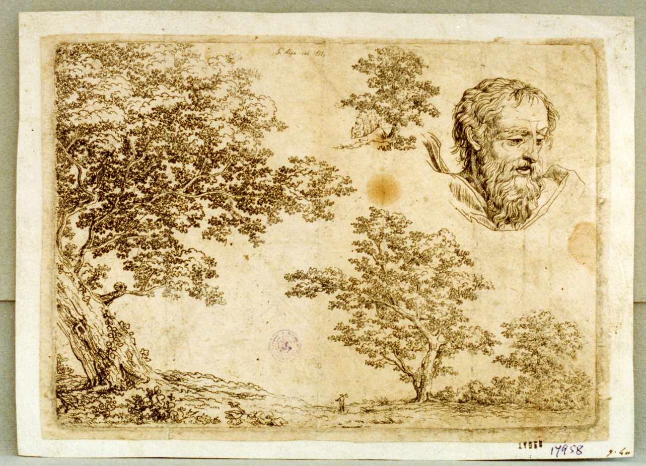 studio di alberi e di testa maschile (stampa) di Aloja Gennaro (sec. XIX)