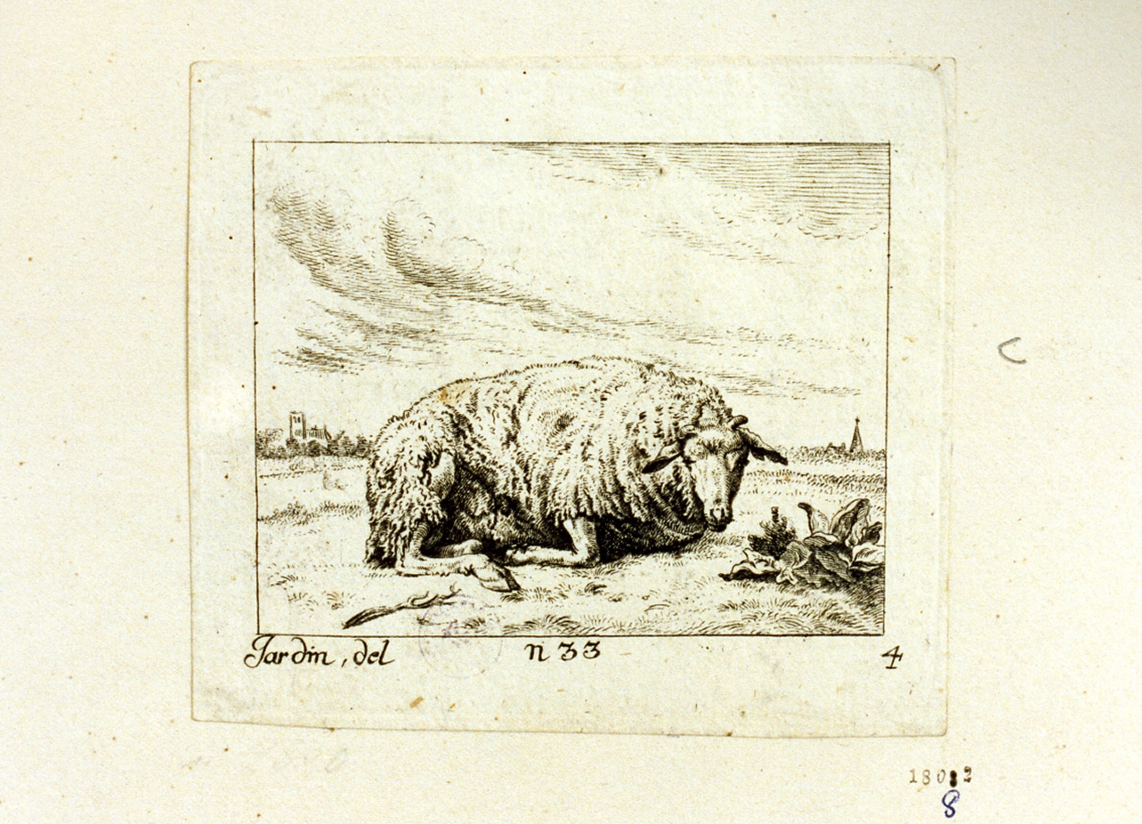 pecora (stampa tagliata) di Dujardin Karel (sec. XVII)