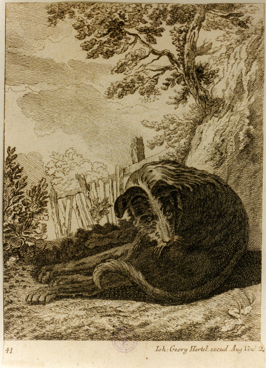 cane (stampa) di Ridinger Johann Elias, Desportes François (sec. XVIII)