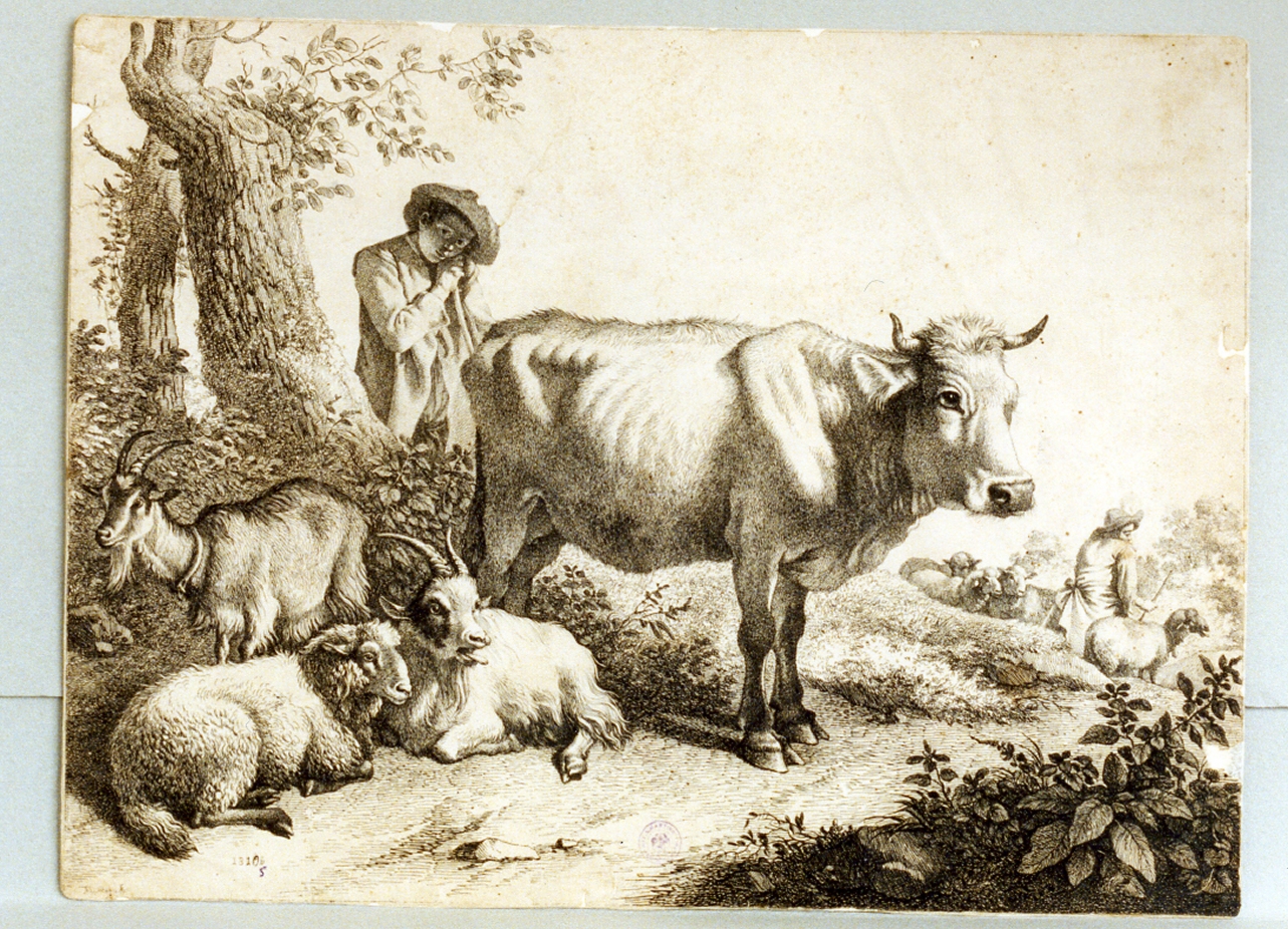 scena pastorale (stampa) di Londonio Francesco, Hackert Philipp (sec. XVIII)