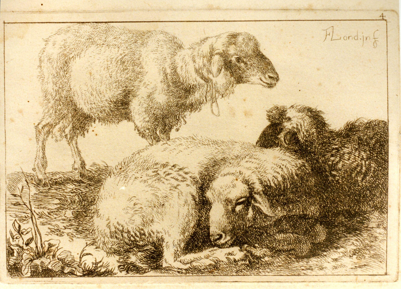 pecore (stampa) di Londonio Francesco (sec. XVIII)