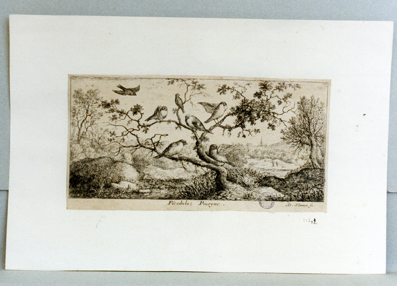 animali (stampa) di Flamen Albert (sec. XVII)