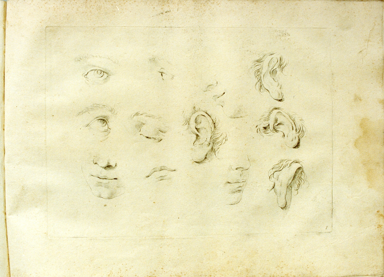 studio di parti del volto (stampa) di Pitteri Marco Alvise (sec. XVIII)