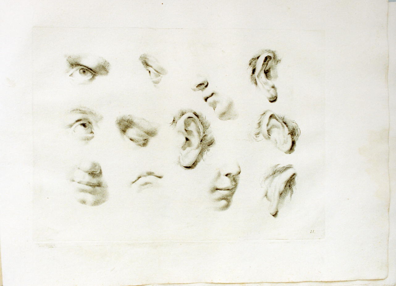 studio di parti del volto (stampa) di Pitteri Marco Alvise (sec. XVIII)