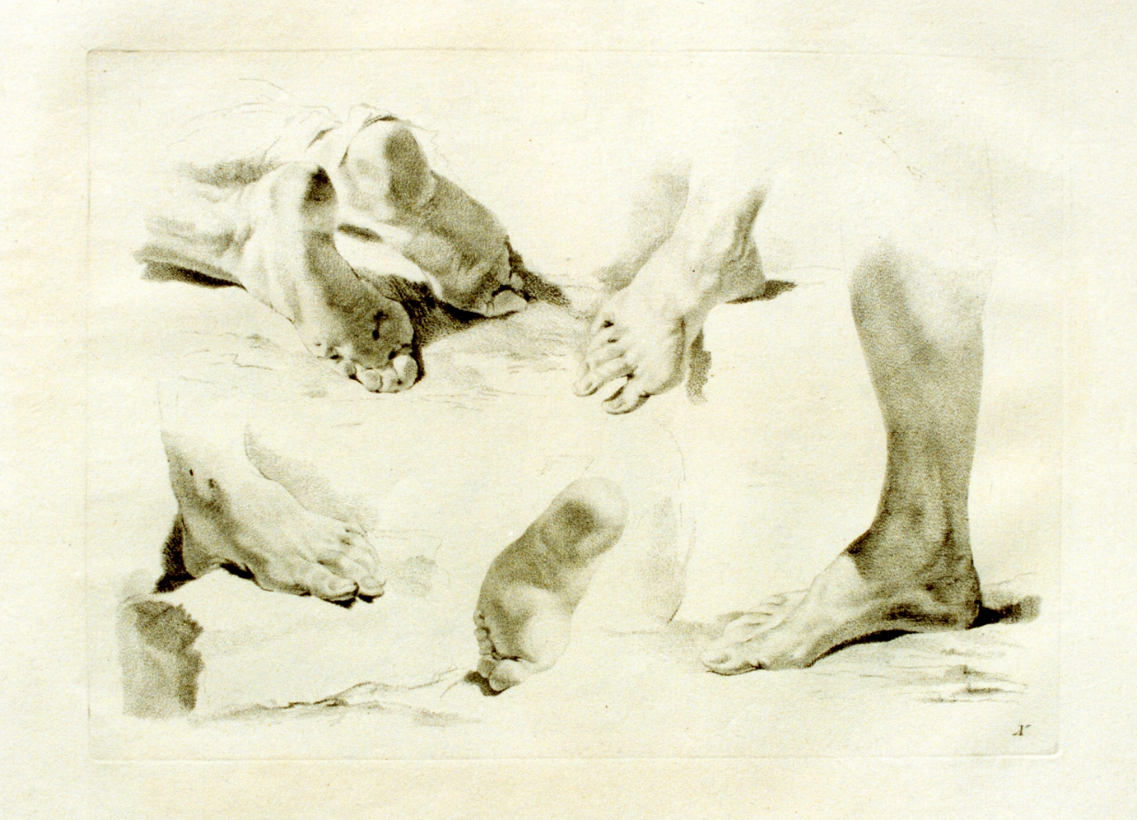 studio di piedi (stampa) di Pitteri Marco Alvise (sec. XVIII)