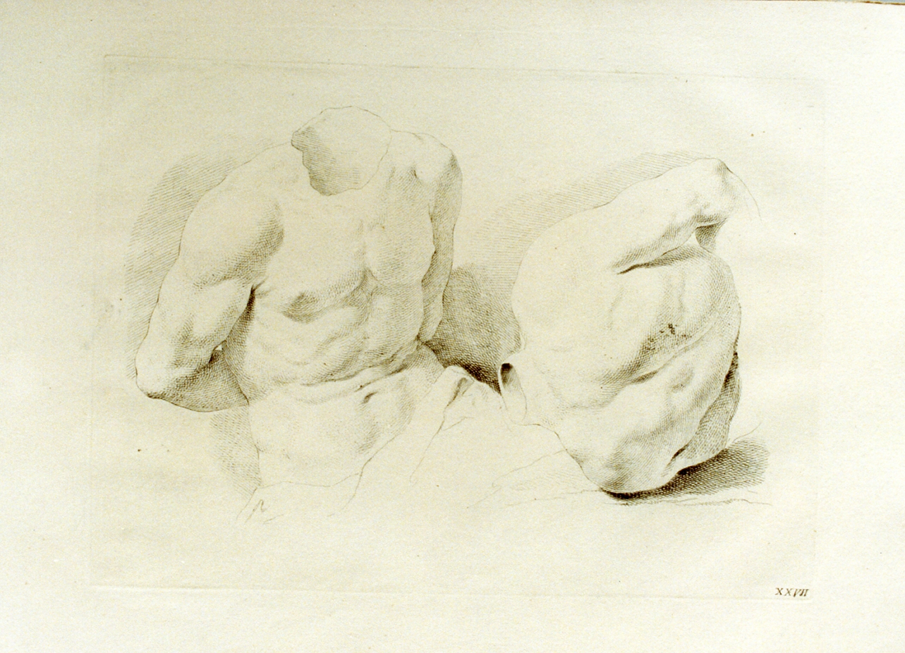 studio di torsi (stampa) di Pitteri Marco Alvise (sec. XVIII)