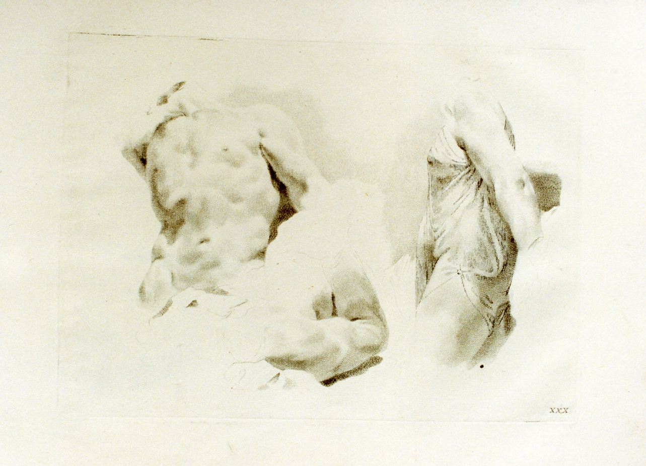 studio di torsi (stampa) di Pitteri Marco Alvise (sec. XVIII)